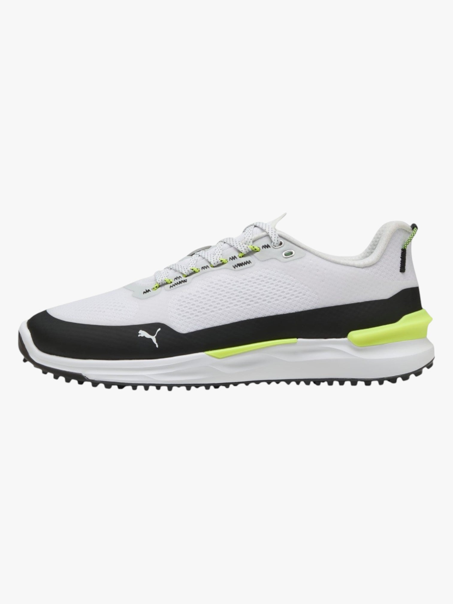 Puma IGNITE Elevate Golf Shoes 310221