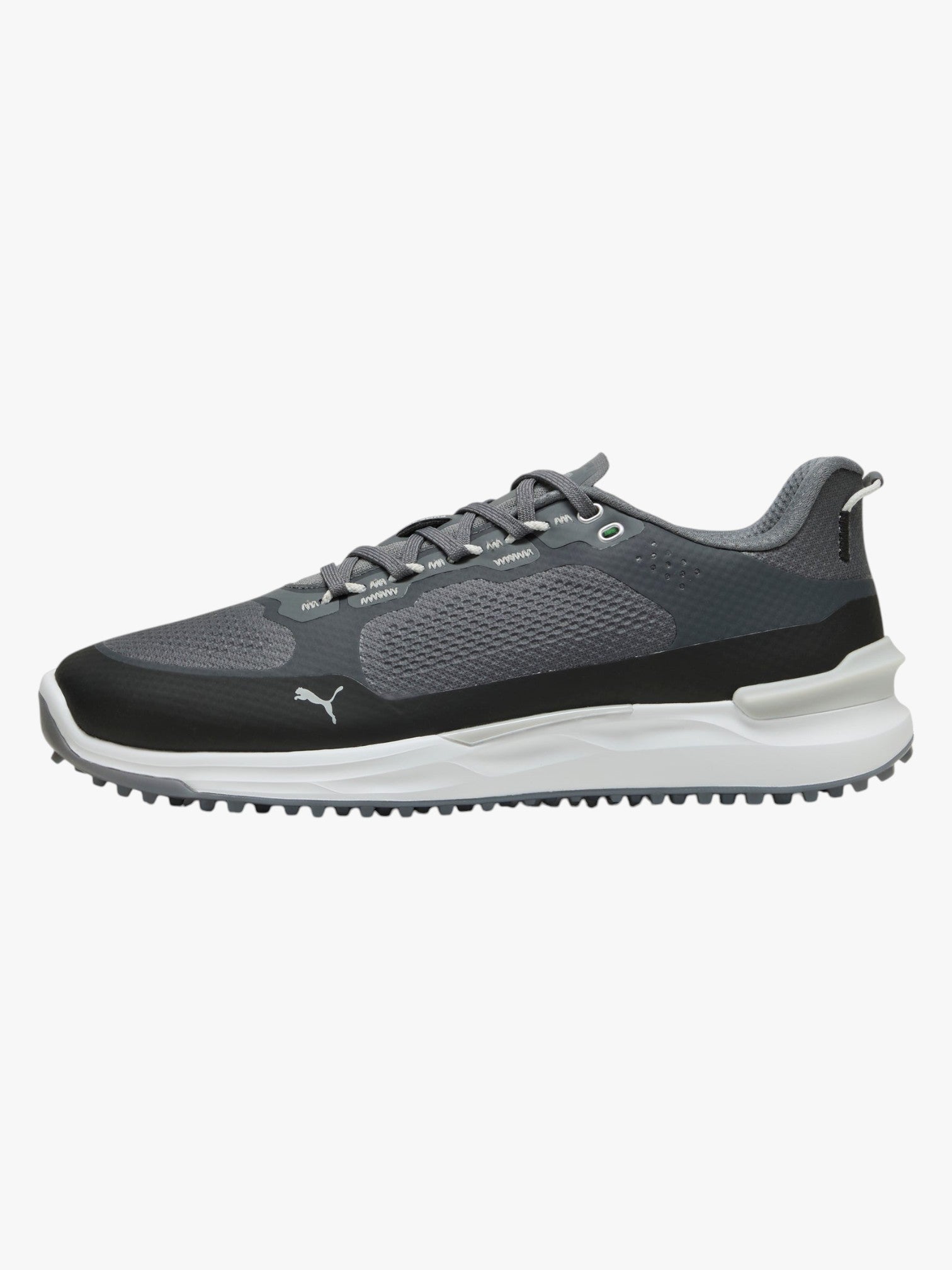 Puma IGNITE Elevate Golf Shoes 310221