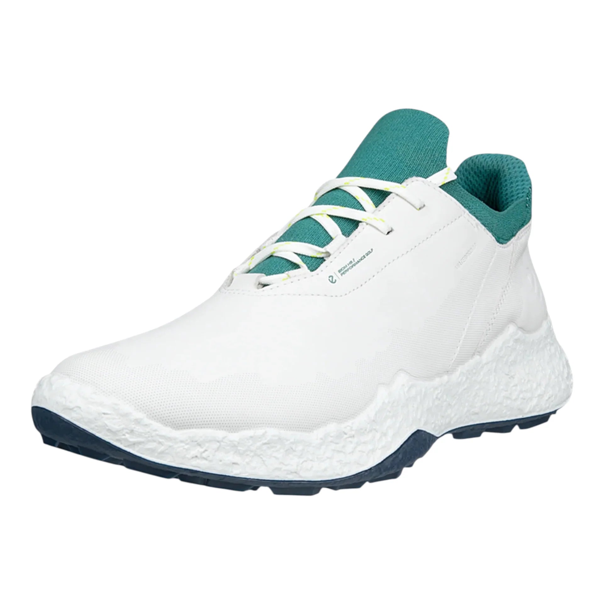 Ecco Biom H5 Golf Shoes 138064