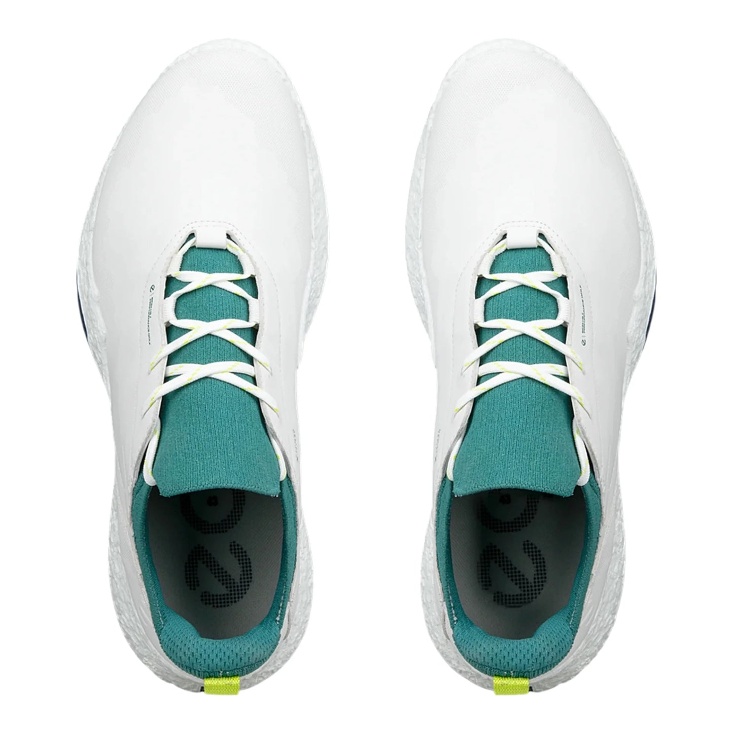 Ecco Biom H5 Golf Shoes 138064
