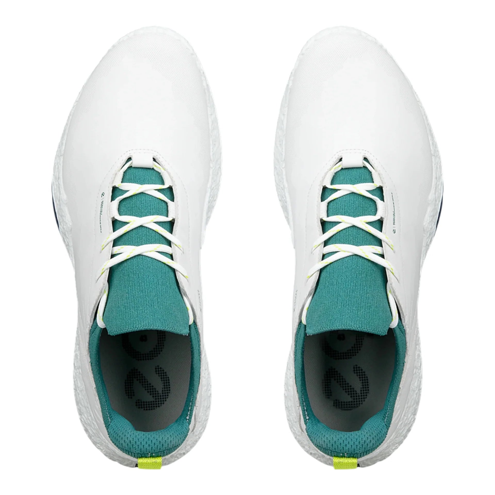 Ecco Biom H5 Golf Shoes 138064
