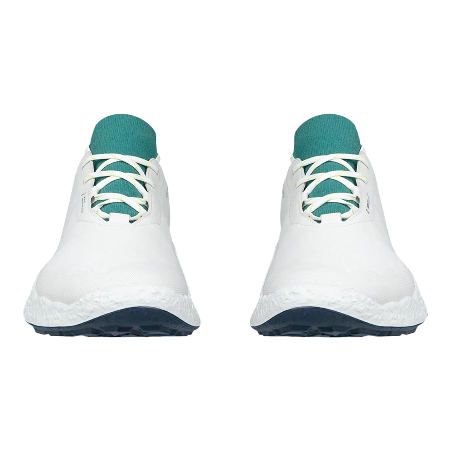 Ecco Biom H5 Golf Shoes 138064