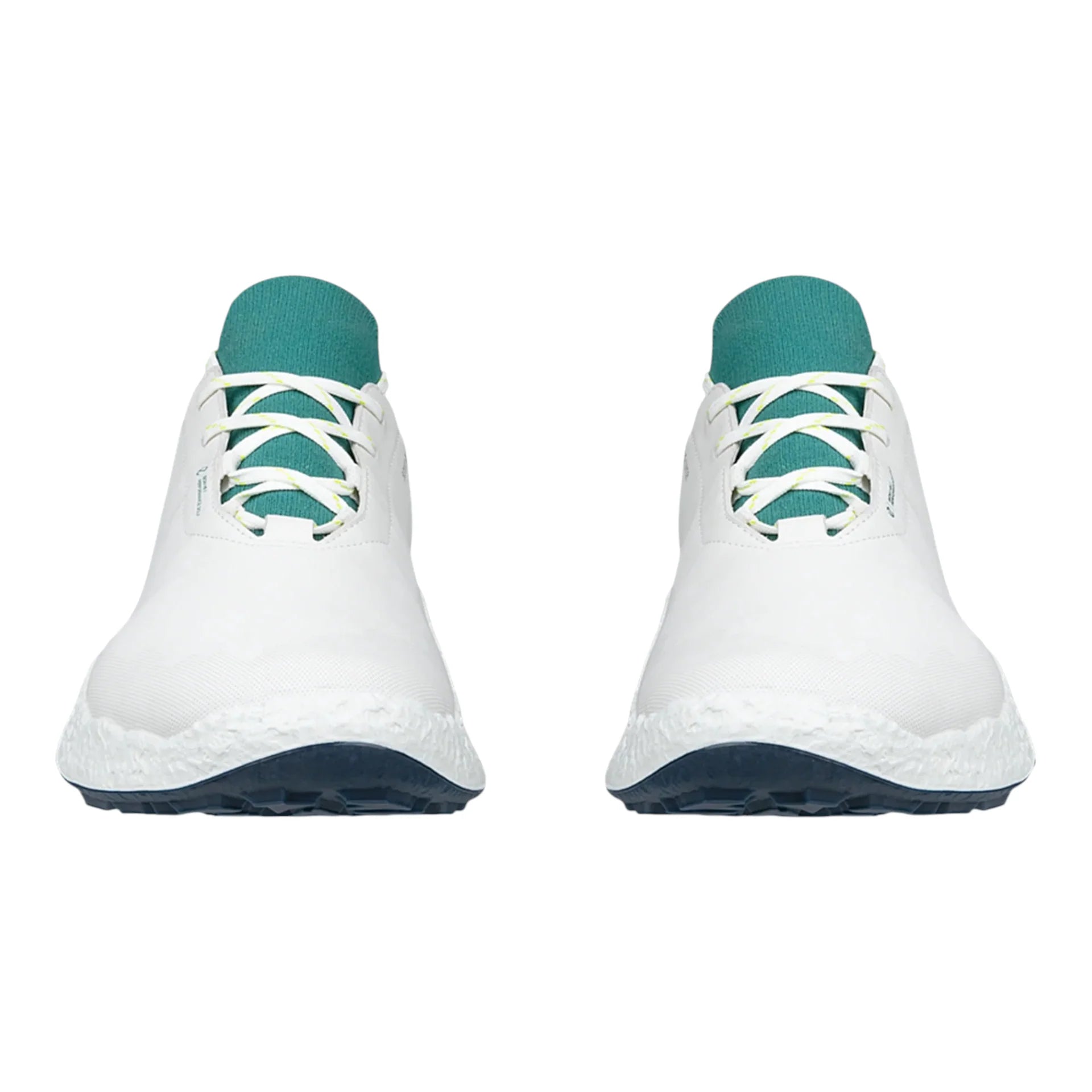 Ecco Biom H5 Golf Shoes 138064