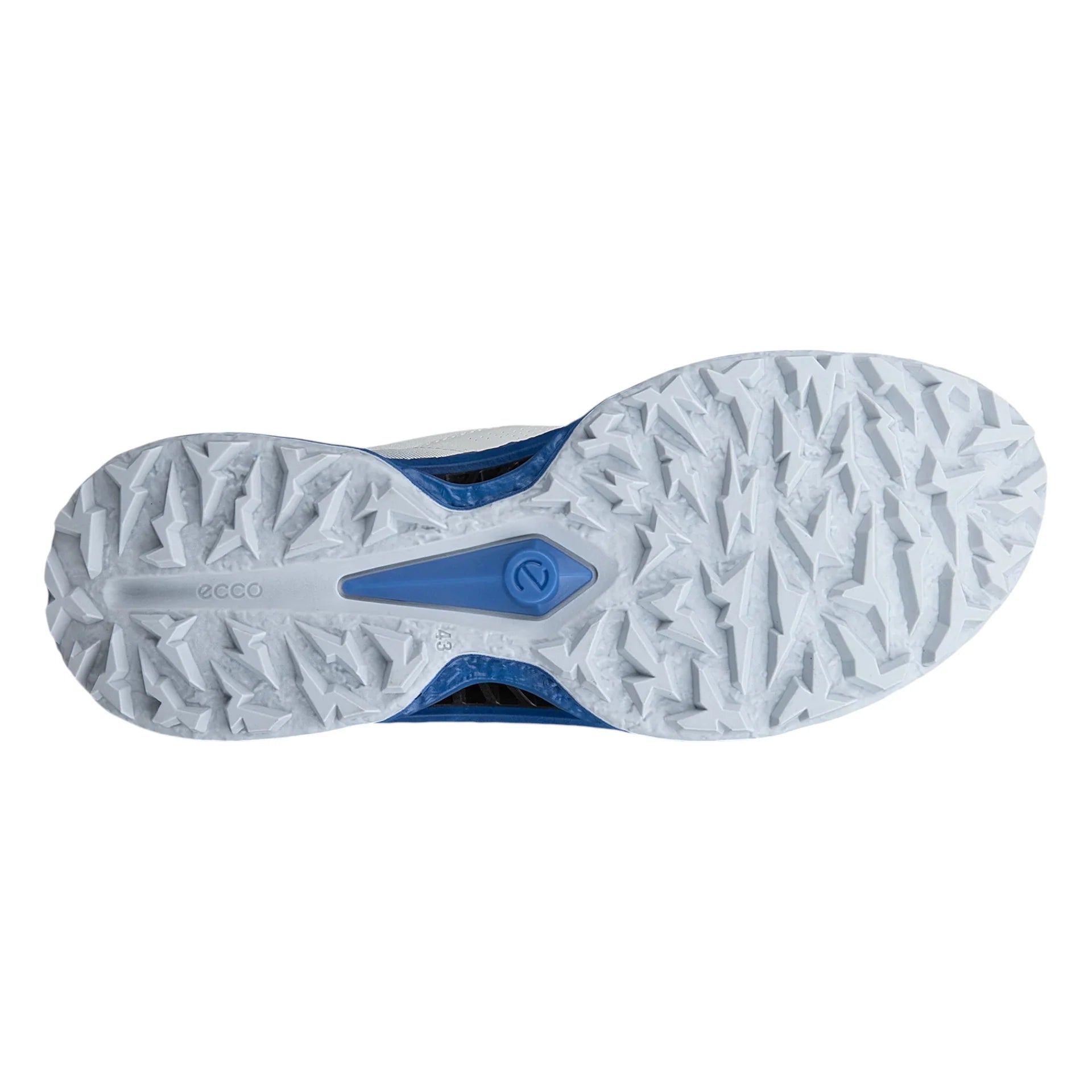 Ecco Biom C5 Boa Golf Shoes 132614