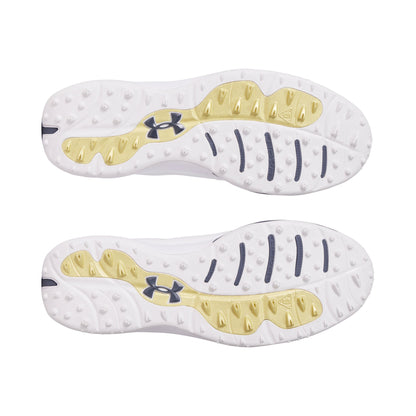 Under Armour Drive Pro SL Golf Shoes 3026921