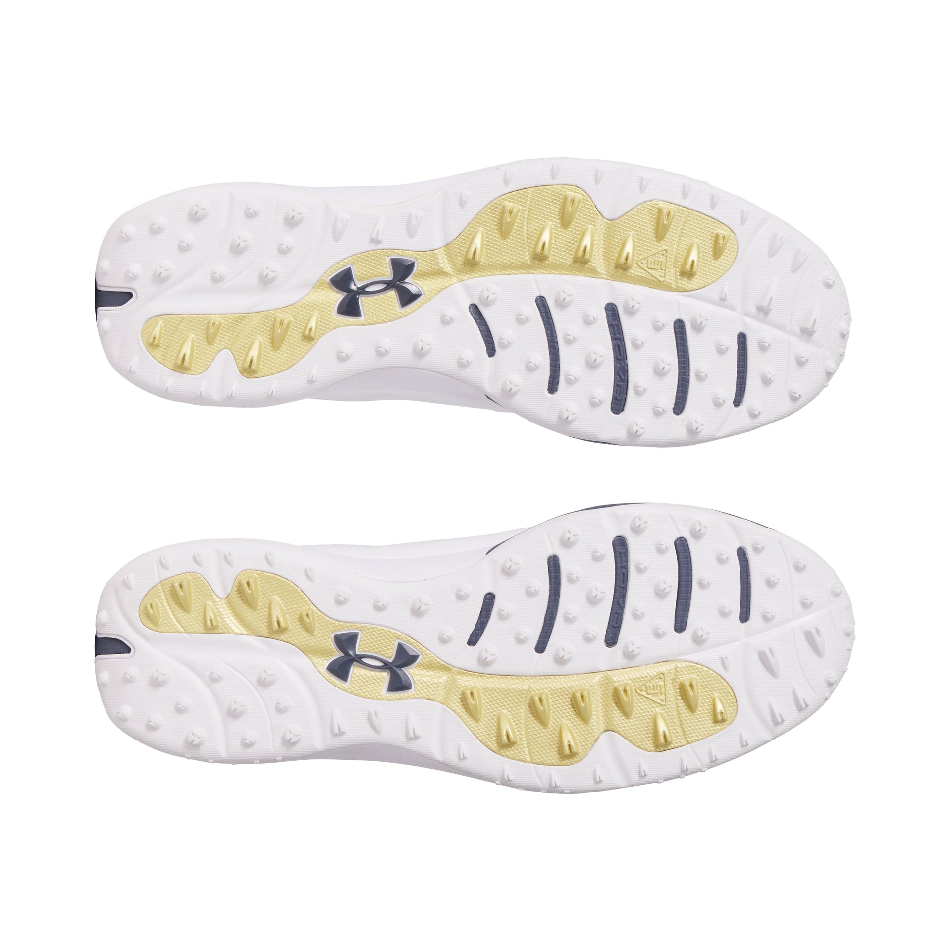 Under Armour Drive Pro SL Golf Shoes 3026921