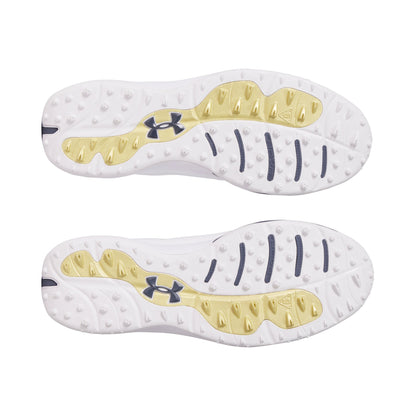 Under Armour Drive Pro SL Golf Shoes 3026921